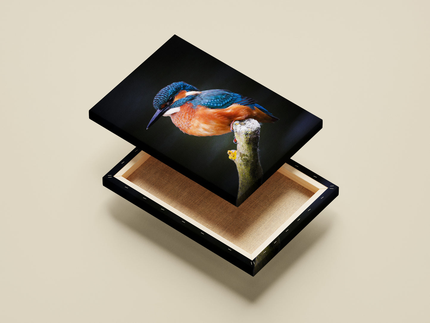 Kingfisher Rest