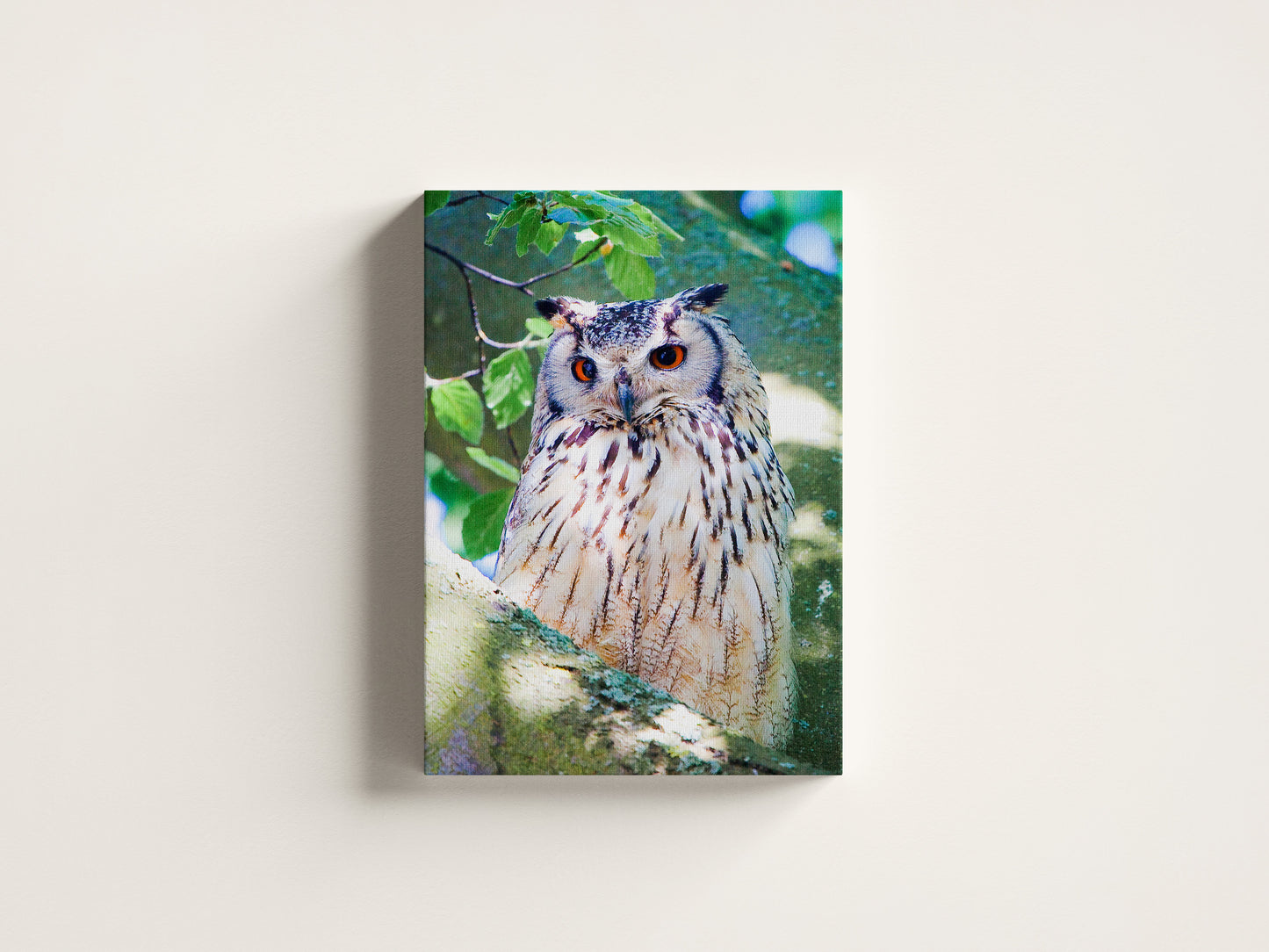 Eagle Owl