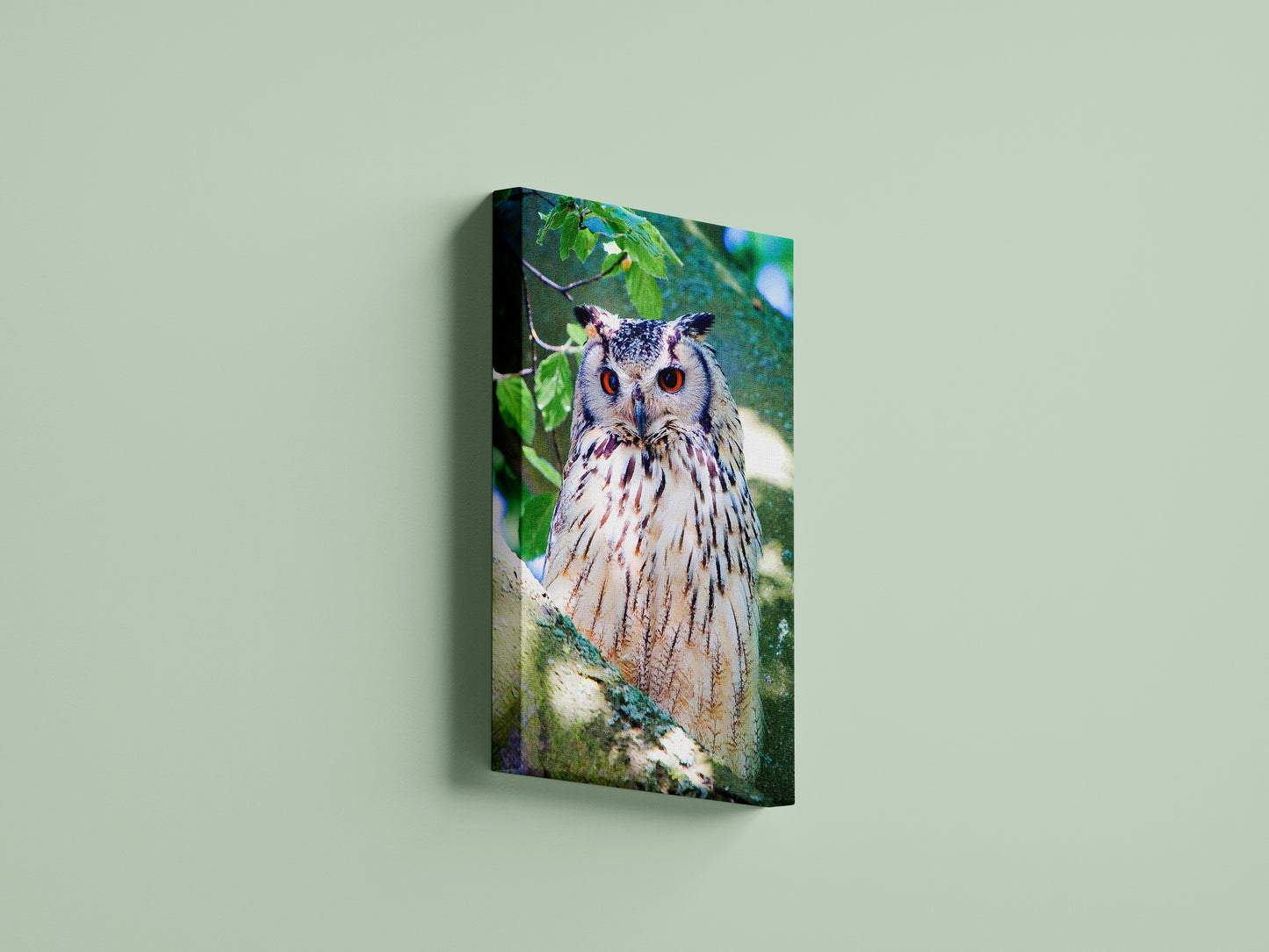 Eagle Owl