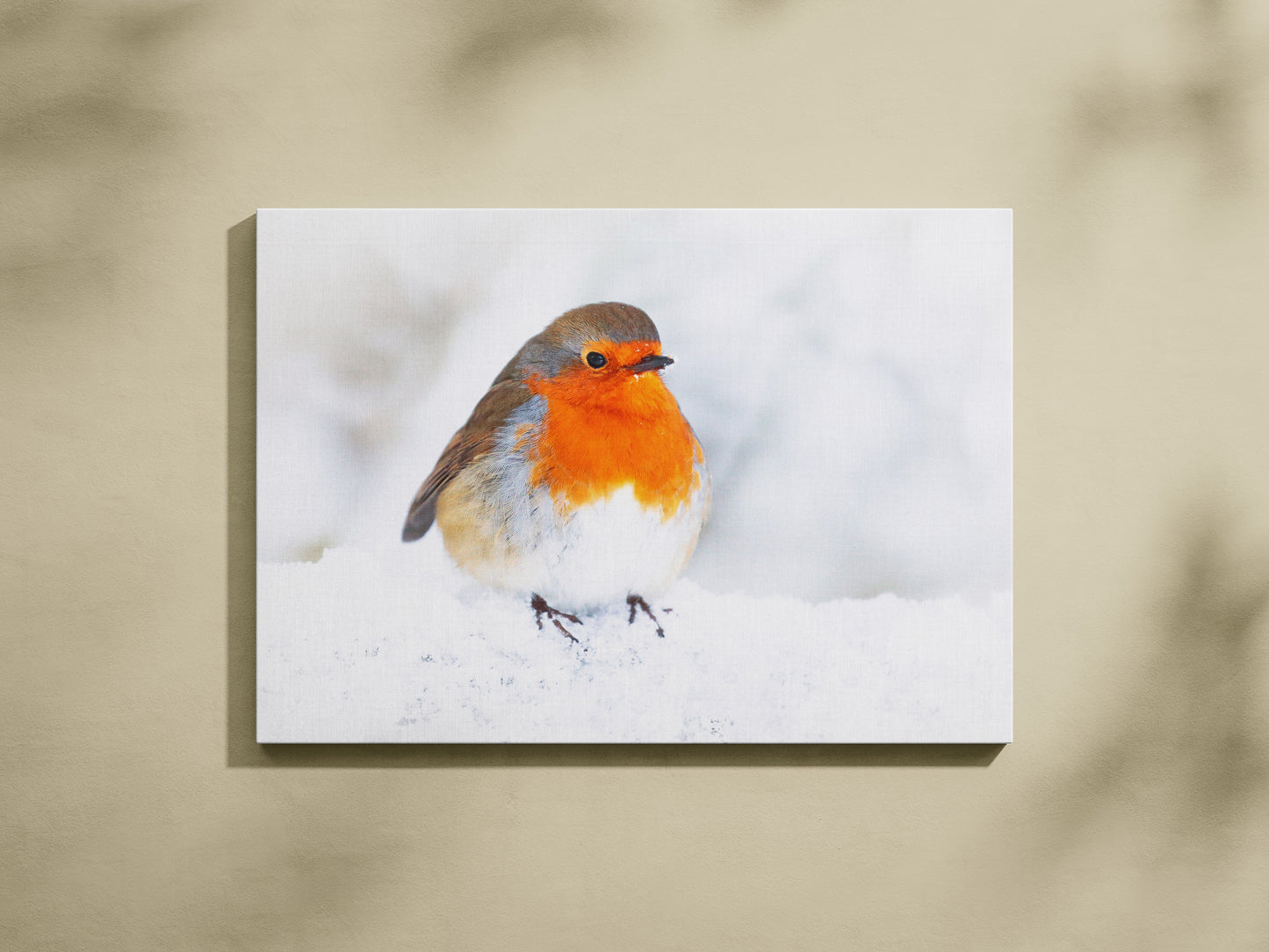 Round Robin