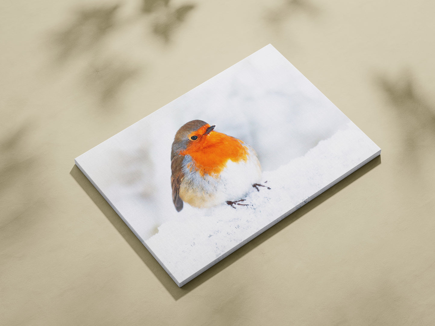 Round Robin