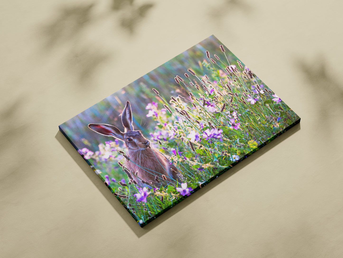 Hare in The Evening Mallow
