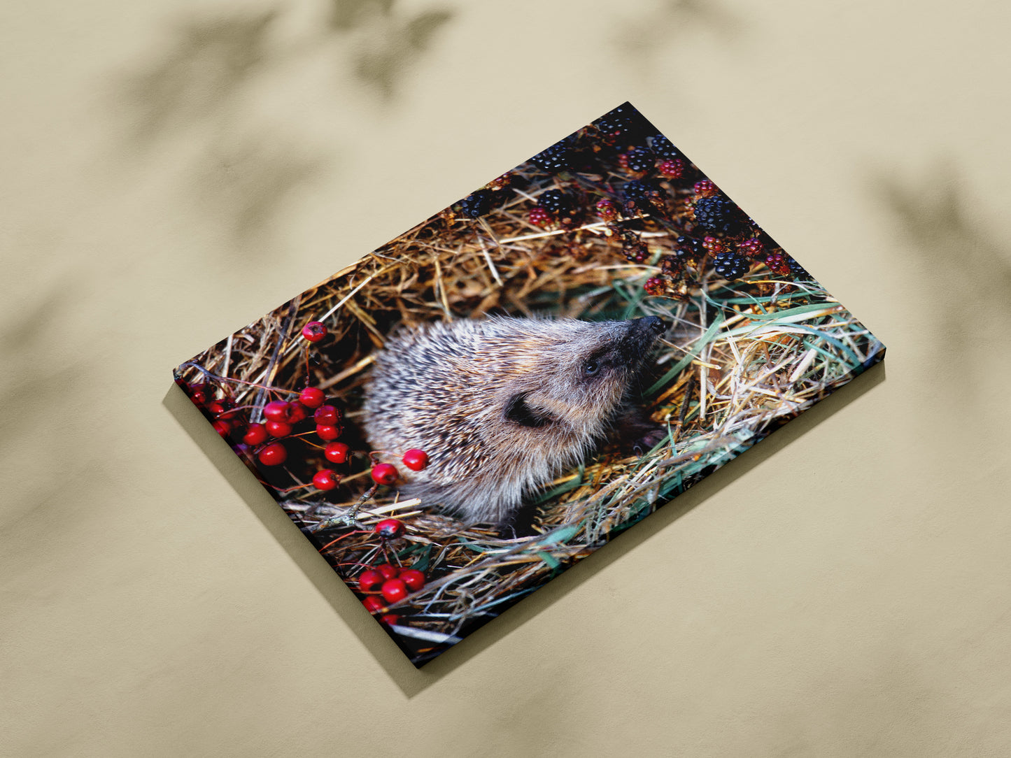 Brambles and Prickles