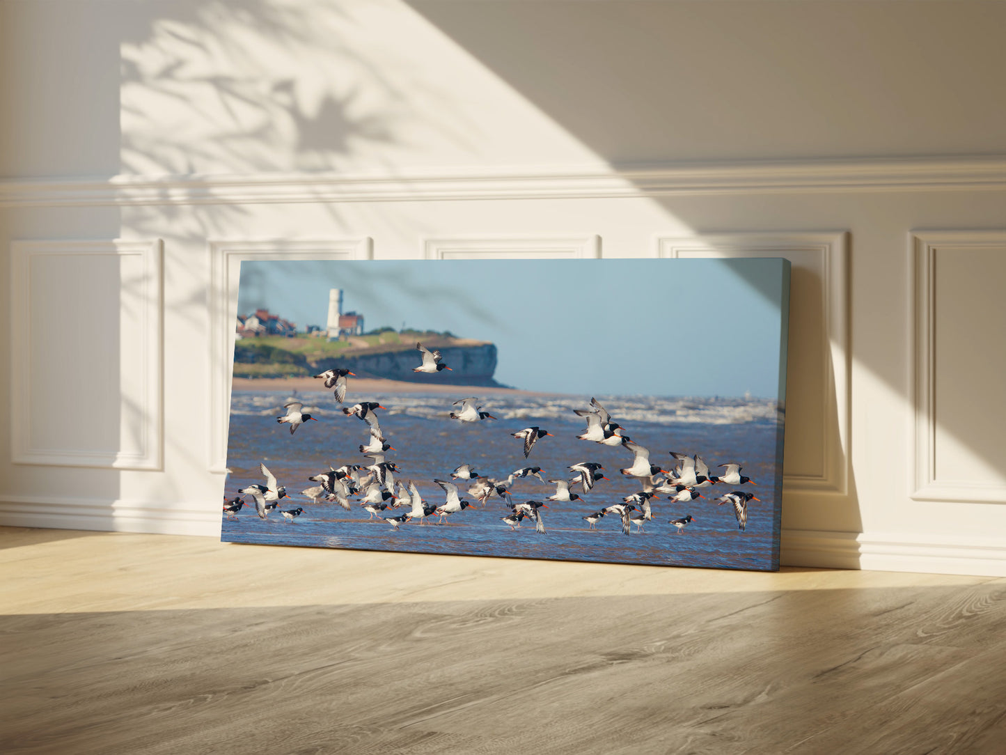 Oyster Catcher Shores