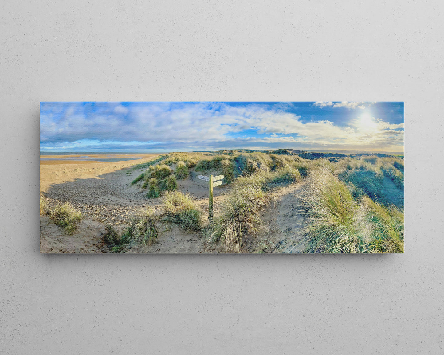 Sunlit Dunes