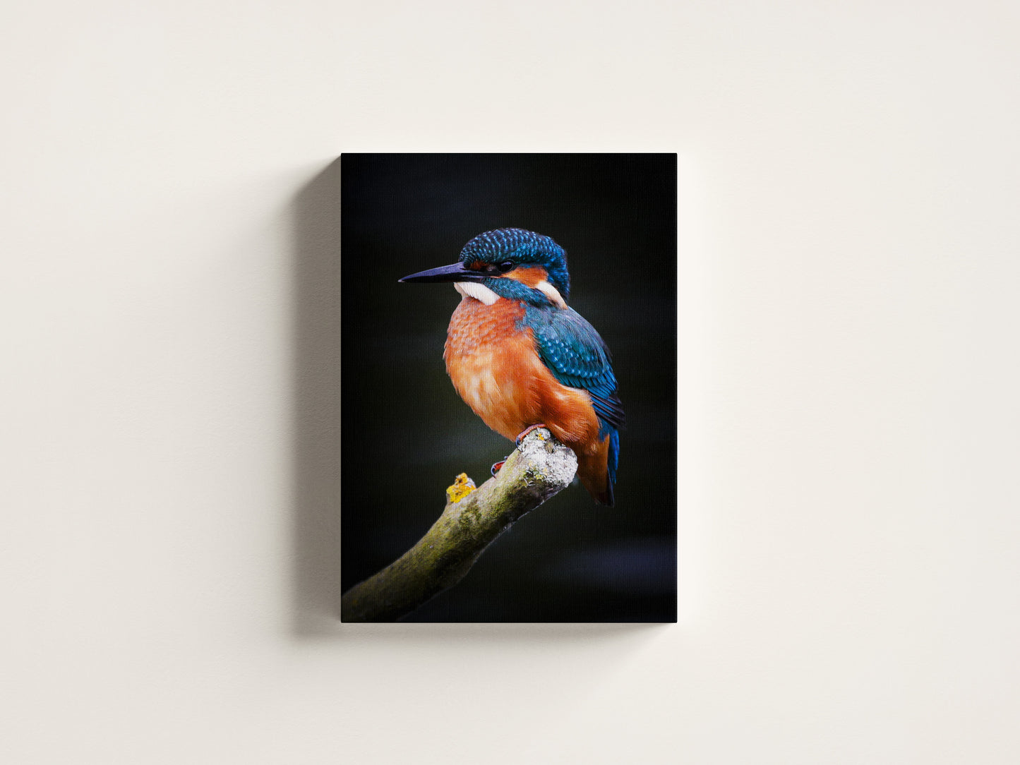 Kingfisher Rest