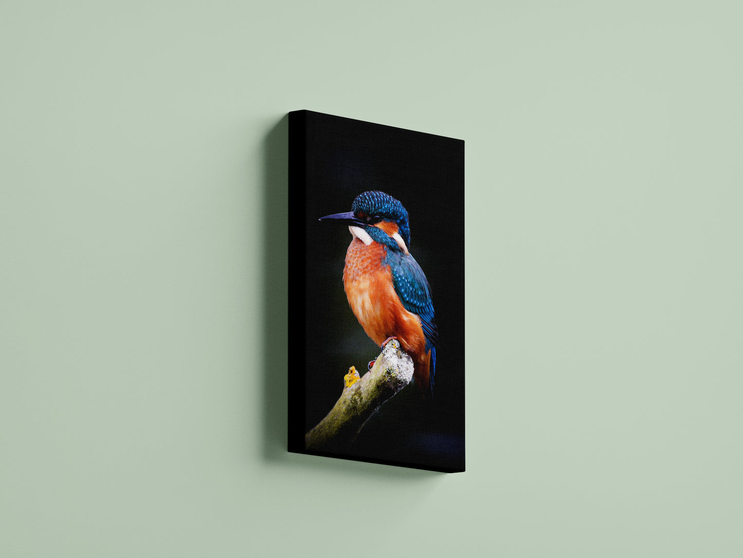 Kingfisher Rest