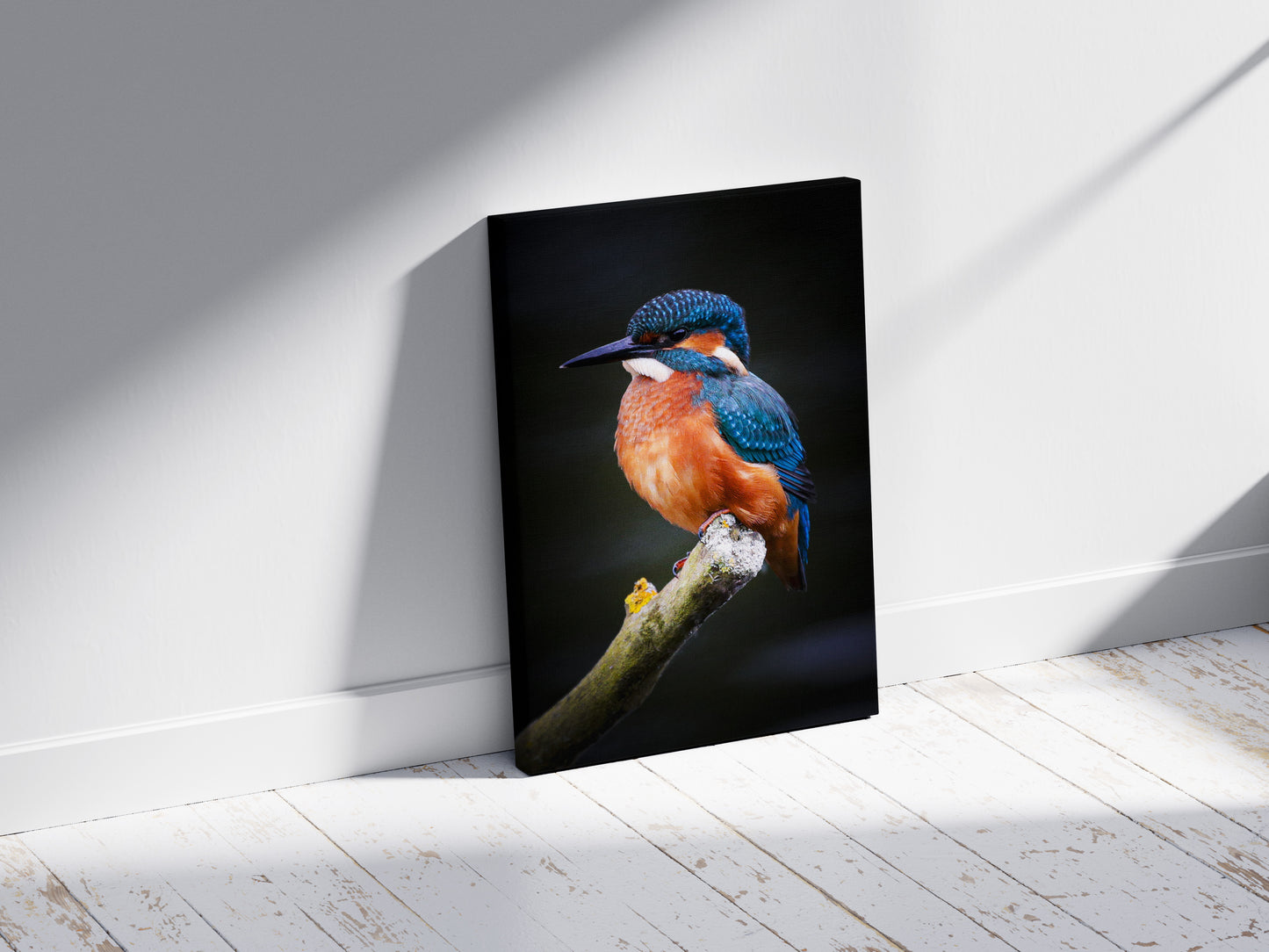 Kingfisher Rest