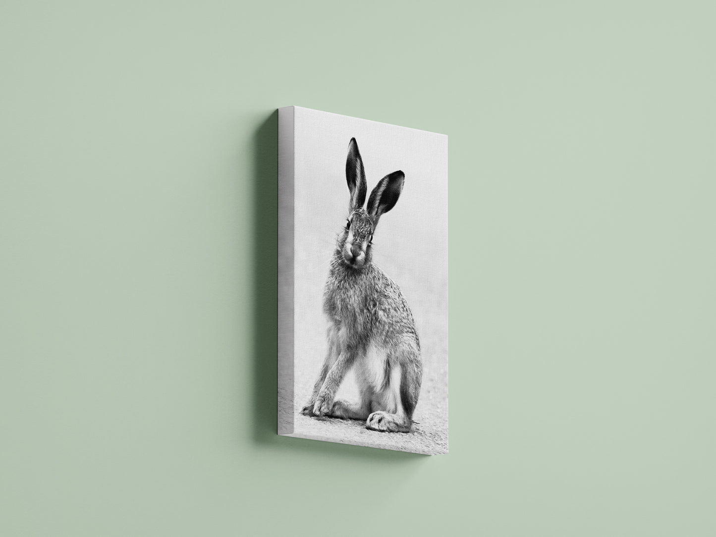 Ears to The Left