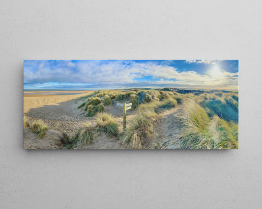 Sunlit Dunes